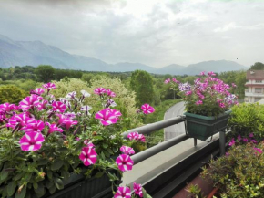 Attico D'Andrea, Pratola Peligna